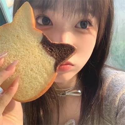 僵尸博主 在线观看