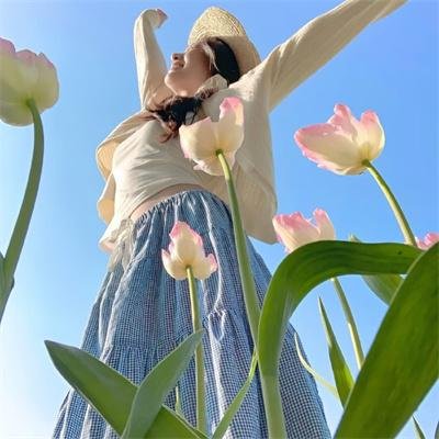 野火2018 在线观看